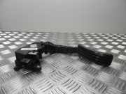 Fahrpedal Renault Scenic III (JZ) 180100011R