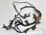 Kabelbaum KIA NIRO E-NIRO 220818 91812A0701