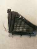 Grill Windlauf BMW X3 (F25) 9184005