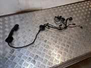 Türverkabelung hinten links AUDI A4 Allroad (8KH, B8) 2.0 TFSI quattro 8K0971687AJ