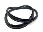 Dichtungsgummi der hinteren Tür (an der Karosserie) CITROËN C3 I (FC_) 1.6 16V HDi 9670311480