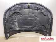 Motorhaube Saab 9-3 (YS3F) 12771537
