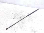 Gasfeder für Motorhaube Audi A6 Avant (4A, C4) 24423