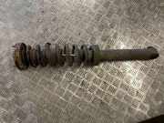 Stoßdämpfer rechts hinten BMW X5 (E53) 1093646