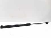 Gasfeder für Motorhaube Hyundai Santa Fe II (CM)