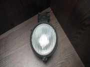 Zusatzlicht vorne links