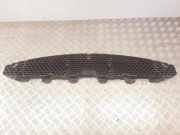 Gitter vorne unten KIA CARENS III (UN) 2.0 CVVT 865611D010