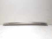 Dachreling links Audi A4 (8K, B8)