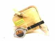 Ausgleichsbehälter NISSAN X-TRAIL (T31) 2.0 dCi