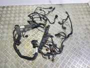 Motor Kabelbaum OPEL Crossland X (P17) (P17) 1.2 (75) 9800119880