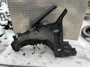 Viertelfeld vorne links FORD GALAXY III (CK) 2.0 TDCi