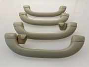 Dachgriff vorne links