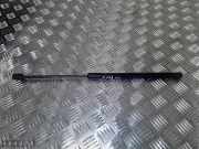 Gasdruckfeder Ford Kuga () 8V41S406A10BD