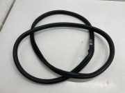 Dichtungsgummi der hinteren Tür (an der Karosserie) BMW 3 (G20, G28) 330 e