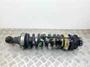 Stoßdämpfer vorne links MERCEDES-BENZ SL (R230) 500 (230.475) A2303200213 162400102485
