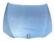 Motorhaube BMW 3 Coupe (E92) 320 d