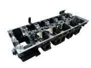 Motorkopf VW TOUAREG (7LA, 7L6, 7L7) 5.0 V10 TDI 07Z403374D
