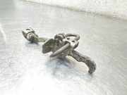 Türanschlag vorne links