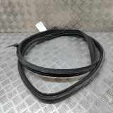 Türdichtungsgummi hinten links MERCEDES-BENZ CLS (C218) CLS 350 CDI (218.323) A2187301978