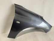 Kotflügel vorne rechts PEUGEOT 206+ (T3E) 1.1