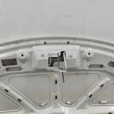 Motorhaube Fiat 500L (351) 51883012