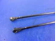 Heckklappendämpfer links Fiat Panda Van (312) 46827091