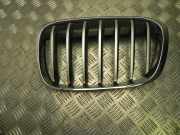Ziergitter BMW X1 (F48) 7354823