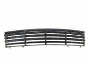 Gitter vorne unten SEAT IBIZA III (6L1) 1.9 TDI