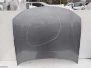 Motorhaube Peugeot 406 Coupe (8C)