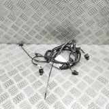 Kabelbaum Hinteren Parksensoren MERCEDES-BENZ C Coupe (C205) C 220 d (205.304) A2054401134