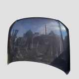 Motorhaube VW PASSAT Variant B6 (3C5) 2.0 TDI 16V