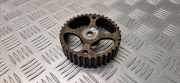 Zahnrad für Nockenwelle Renault Megane Scenic (JA) 106208