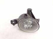 Nebelscheinwerfer rechts vorne BMW X5 (E70) 6924656