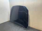 Motorhaube BMW 5 Gran Turismo (F07) 550 i 9211802