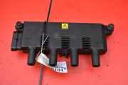 Zündspule Fiat Punto (188) 55200112
