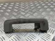 Griff Panoramadach Ford Galaxy (CK)