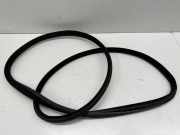 Türdichtung Mercedes-Benz S-Klasse (W222)