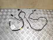 Kabelbaum RENAULT MASTER III Furgon (FV) 2.3 dCi 100 [RWD] (FV0B, FV0C, FV0D) A71210400