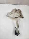 Fensterwaschtank FORD B-MAX (JK) 1.6 TDCi AV6113K163A