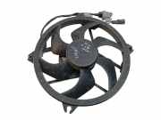 Elektrolüfter Peugeot 407 ()