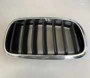Vorderer oberer Gitter BMW X5 (F15, F85) xDrive 40 d 7316054
