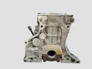 Motorblock VW GOLF PLUS (5M1, 521) 1.6 BSE