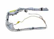 Dach SRS rechts FORD KUGA I 2.0 TDCi 7M51R14K159AJ