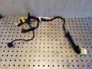 Kabel Tür Opel Antara (L07) F0616088