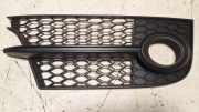 Gitter vorne unten AUDI TT (8J3) 2.0 TFSI 8J0807682K