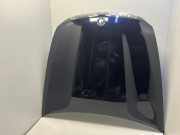 Motorhaube BMW X5 (E70) xDrive 50 i 7273439 7198615