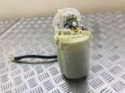 Kraftstoffpumpe Audi A5 (F53) 8K0919051