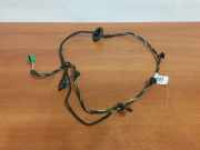 SONSTIGE KABELBÄUME MERCEDES-BENZ E Coupe (C207) E 250 CDI / BlueTEC / d (207.303) A2075400133 A1695450145