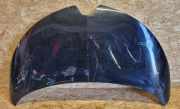 Motorhaube RENAULT ZOE (BFM_) ZOE 978184115R