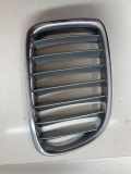 Vorderer oberer Gitter BMW X1 (E84) xDrive 20 d 10627110
